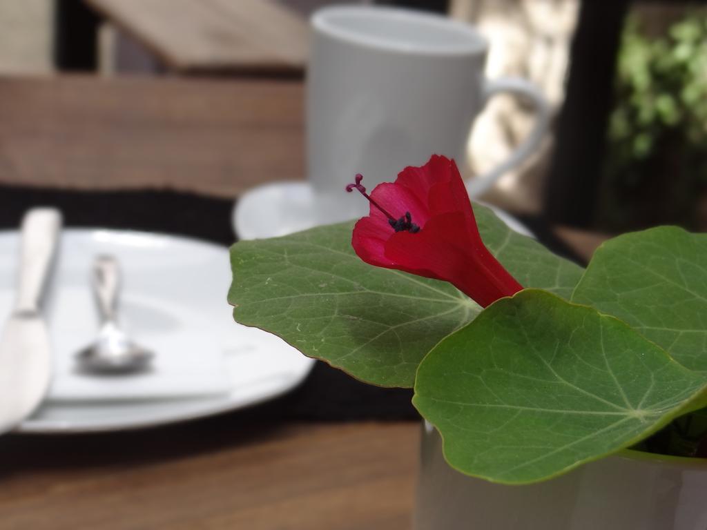 El Museo Hotel Boutique لاباز المظهر الخارجي الصورة